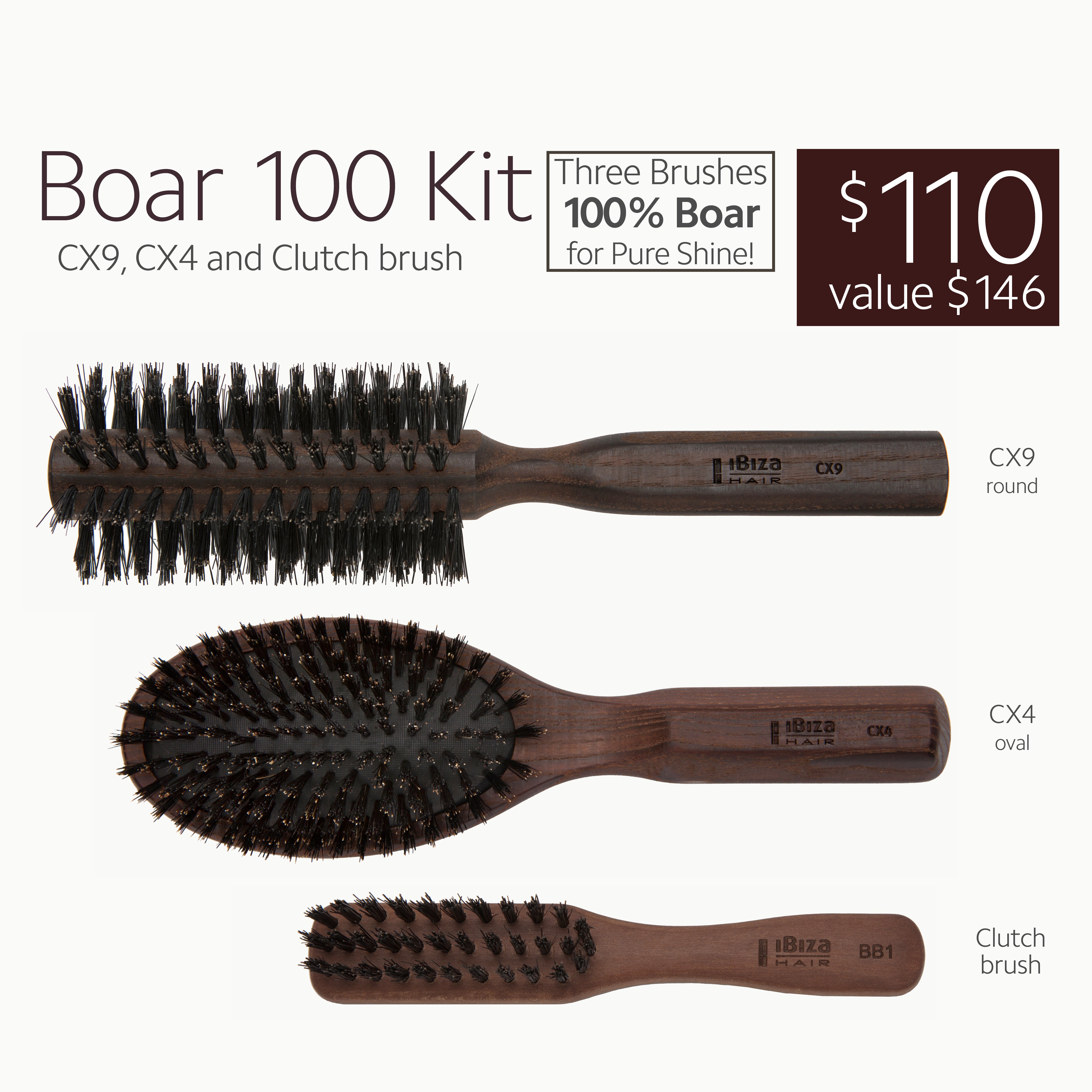 Boar 100 Kit