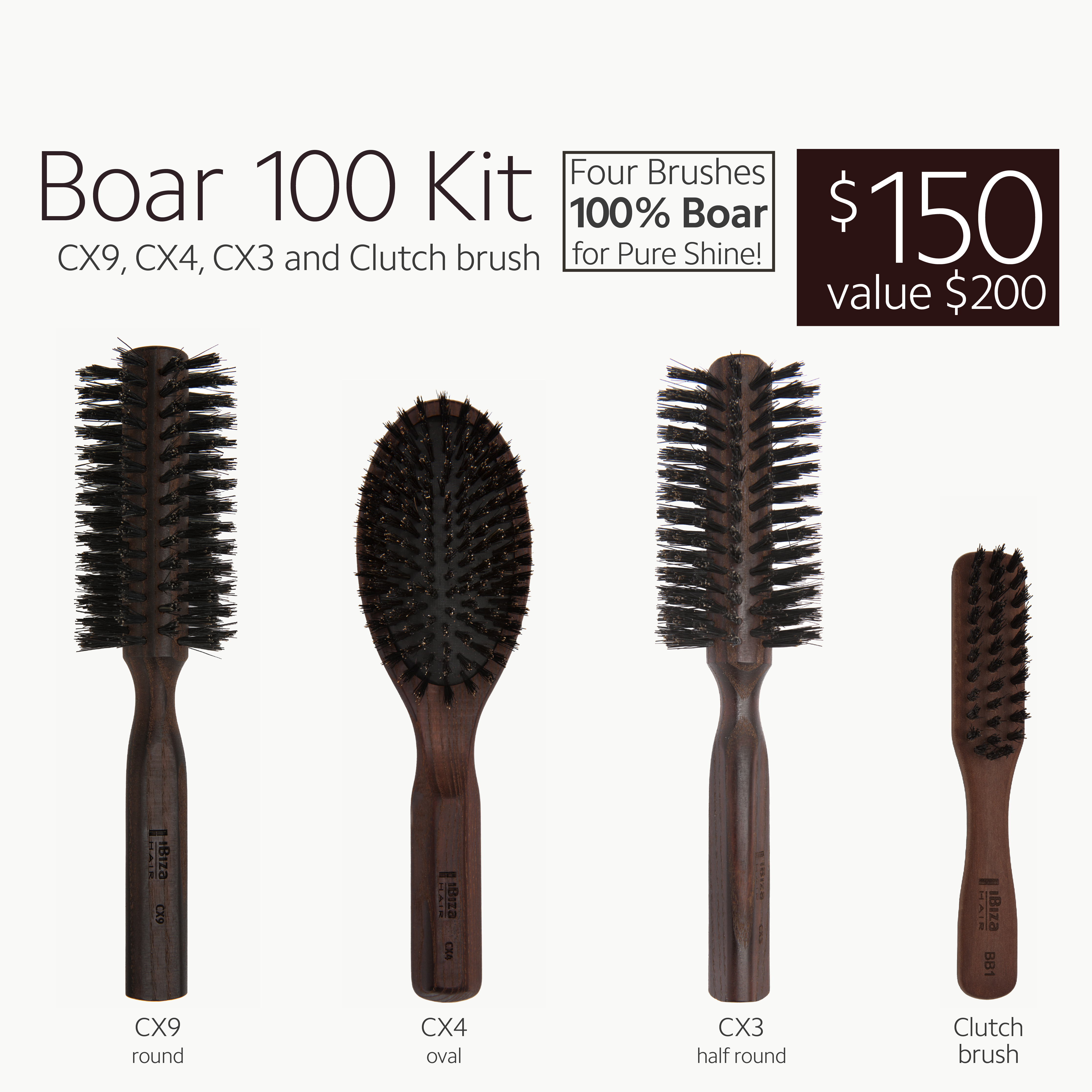Boar 100 Kit